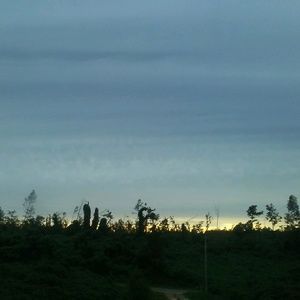 Meet your Posher, Keith